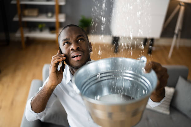 Best Flood restoration services  in Sebastopol, CA