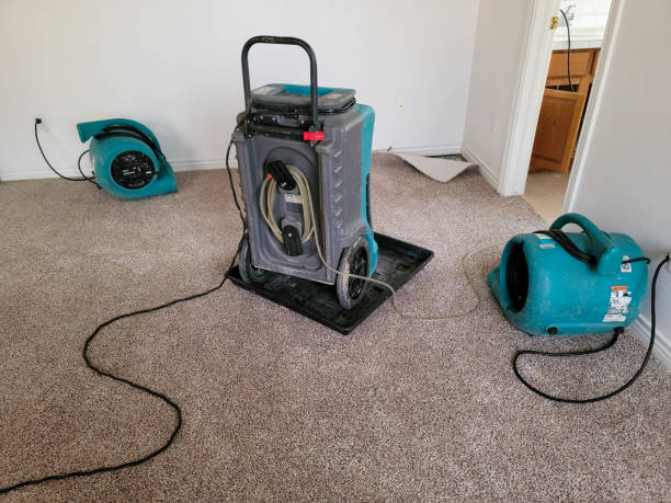 Best 24/7 water damage repair  in Sebastopol, CA