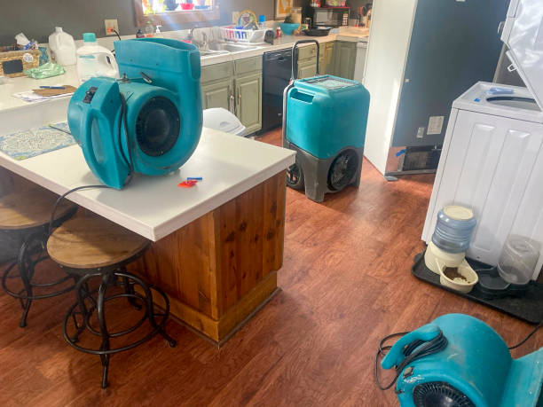 Best Sewage cleanup and water damage restoration  in Sebastopol, CA