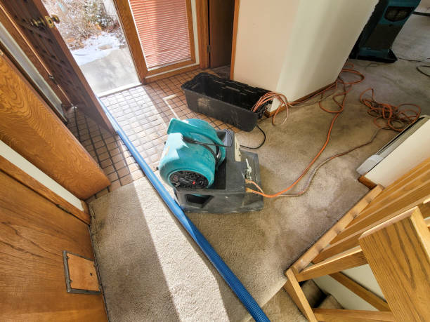 Best Water damage restoration near me  in Sebastopol, CA