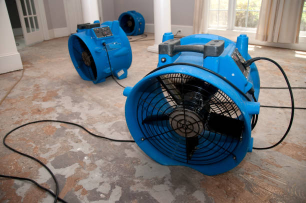 Best Fire Damage Restoration  in Sebastopol, CA