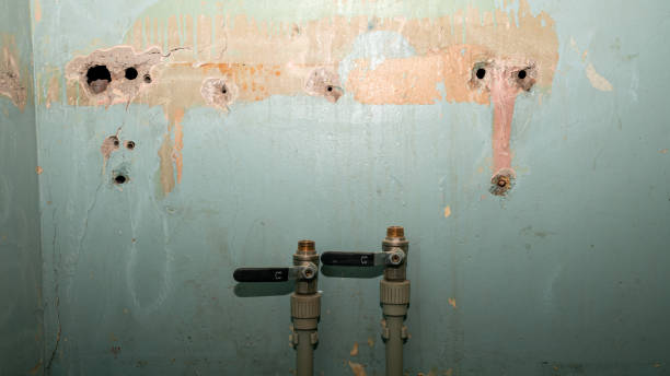 Best Water damage cleanup near me  in Sebastopol, CA
